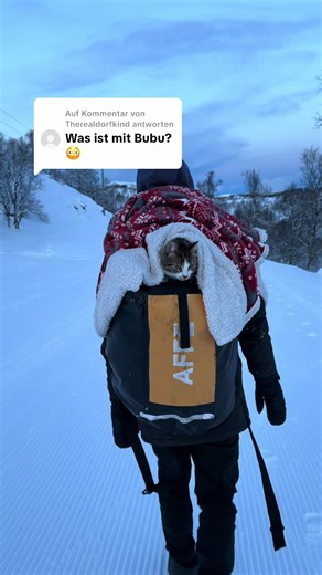 Antwort auf @Therealdorfkind Unser Baby💔