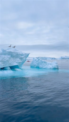 14K views · 390 reactions | Kayaking among icebergs ❄️❤️ | Inuk Adventure | Facebook