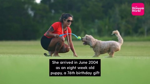 Remember Chaser: The dog with the ‘capabilities of a two-year-old’