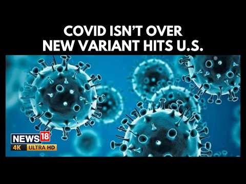 New Covid Variant ‘Cicada’ Spreads Globally | U.S On Alert | Detected In 20 Countries | N18G | 4K