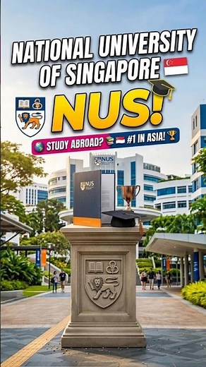NUS: The Secret to Getting In? 🇸🇬