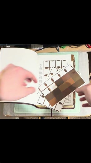 tab my bible with me