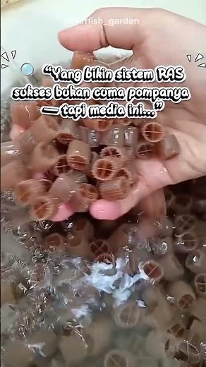 🔍 “Yang bikin sistem RAS sukses bukan cuma pompanya — tapi media ini…” #ras #budidaya #kolamikan