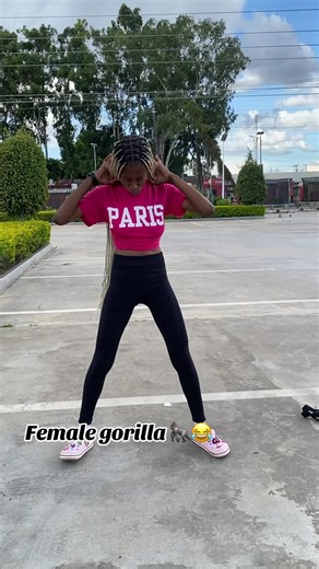 Funny Female Gorilla Moments That Will Make You Laugh