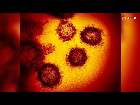 Top 10 Coronavirus Pictures of the Day