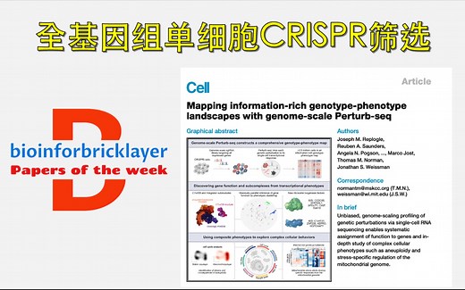 【文献精选｜EP03】全基因组单细胞 CRISPR 筛选