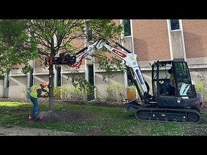 Efficient Tree Removal with a Roto Tilt on Bobcat E60 and Wood Chipper in Action!