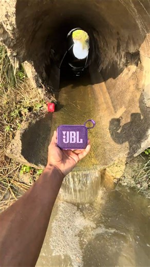 Jbl Go 4 water pool testing
