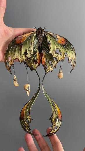 Exploring the Enchanting Luna Moth