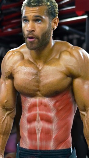 The core is a group of muscles in your midsection, from the visible abs and obliques through to the deep core, as well as the stabilizing muscles in the lower back. The core is a vital support for a range of movements in the gym, keeping the spine upright, maintaining proper form, and improving performance. But what are the toughest abs and core exercises? Expert trainer @al.exe.dwards takes you through the most challenging moves for abs and core. Watch the full video only on Fit Media YouTube. 