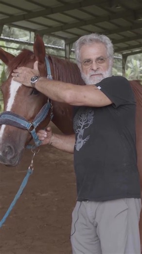 Exploring the intricate world of equine cranial bones! 🦴🔍 Dive deep into the anatomy that shapes our equine friends and discover how understanding these structures is key to mastering craniosacral holds. #EquineAnatomy #CranialBones #CraniosacralTherapy #equinemassagetherapist #equinebodywork #equestrian #equinemassagetherapy #equineathletes #horselifestyle #horsehealth #equinetherapy #horsetherapy #healthyhorse #equestrianlife #equestrianathletes #horsemassage #equine #horses #fyp