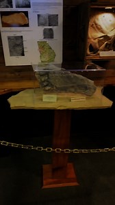 230K views · 5.2K reactions | Expedition: Bigfoot on Reels | Facebook