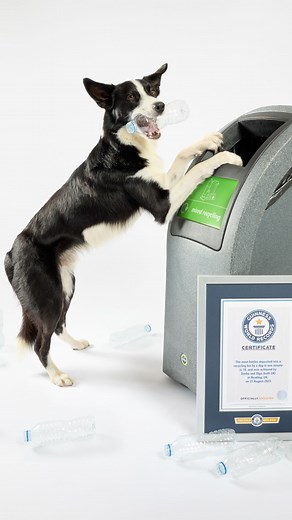 Guinness World Records on Instagram: "Fastest time to complete 10 side leapfrog jumps by two dogs 🐾⏱️ 16.78 seconds by Olga Jones and her two dogs, Simba and Bonnie 🇬🇧 As featured in the new #GWR2025 book out now!📚 #guinnessworldrecords #officiallyamazing"