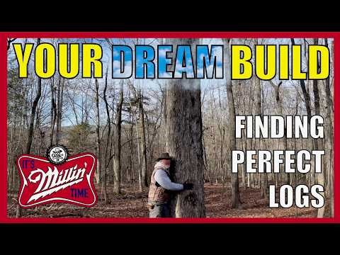 Your Dream Build: Finding PERFECT Logs