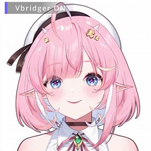 Vbridger_ON/OFF