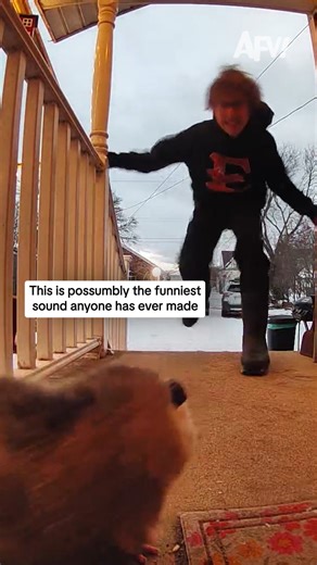 America's Funniest Home Videos on Instagram: "Guess that's the possum's house now 😂 #afv #funny"