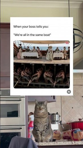 When your boss tells you: "We're all in the same boat" #memes #memepage #meme