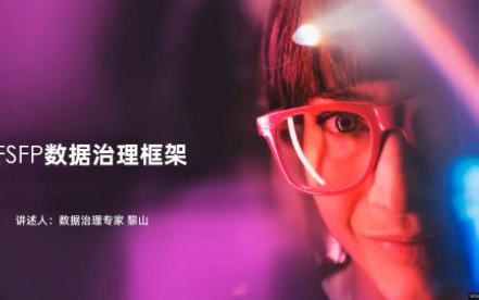 FSFP数据治理框架