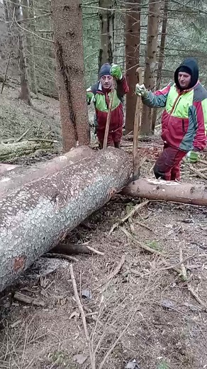 Coștiug Andrei pe TikTok