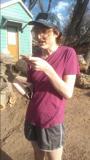 Beaver Girl Eating Wood