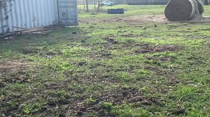 I shall call him Andy | From Suits to Boots