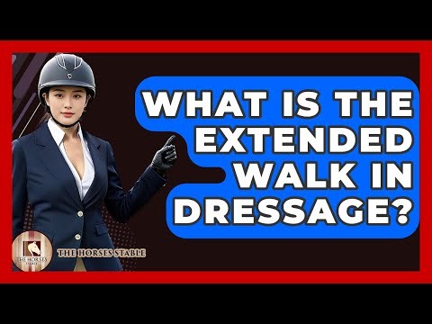 What Is The Extended Walk In Dressage? - The Horses Stable