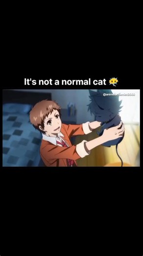 Anime Alchemist on Instagram: "🎬 Anime: Servamp 📚 Genres: Action, Supernatural, Comedy, Dark Fantasy, Shounen 🗓️ Release: 2016 🎞️ Episodes: 12 (+ Movie: Servamp: Alice in the Garden) 🎬 Studio: Brain’s Base 📝 Description: Servamp follows Mahiru Shirota, a simple boy who values an easy life, until he accidentally forms a contract with a lazy vampire named Kuro. Kuro is one of the powerful “Servamps,” vampires representing the Seven Deadly Sins. What starts as a casual encounter soon turns in