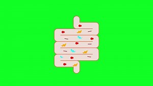 Download Digestive System Animation for free