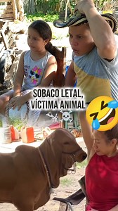 ¿Qué es un sajino en Colombia? [GRAJO CONCENTRADO] 🤢💨 #Grajo #Sobaco #Axila #Sajino #Cebolla #Ajo #Sabila #Sudor #MalSudor #MalOlor #TerneroTravieso #CampoApestoso #HumorCampestre #ReelDeRisa #ComediaRural #NoEsSudorEsVeneno | SuaRez videos comedia