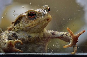 „Blende“ 2021: Wir sind neugierig – auf Ihre Fotos! - inSüdthüringen