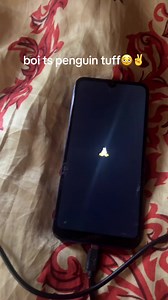 Linux Tux Error on Android: A Classmate's Experience