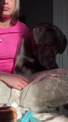 #rso #ricksimpsonoil #cancerrso