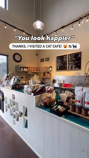 Did you know there are over 150 cat cafes in the United States? 🙀☕️ The first opened in Taiwan in 1998, and the trend quickly spread through Japan before going global. Now there’s a cat cafe in almost all 50 states! The Turquoise Teapot & Cat Cafe is proud to be one of just two in New Mexico, and part of this growing movement helping adoptable cats find loving homes! If you’ve never visited a cat cafe, now’s the time. Come see us in Santa Fe or find one near you and experience the magic for you