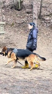 101K views · 3.6K reactions | #k9 #dog #k9training #doglife #doglover #dogstraining #k9 #love | K-9 Guards | Facebook