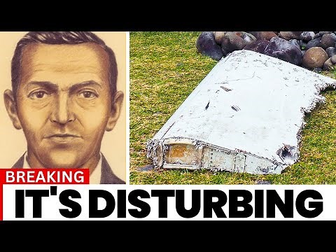 Passenger’s Final Message from MH370 Was Finally Decoded, And It’s Terrifying