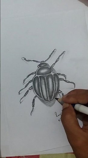 how to draw a realistic insect #insects #sketch #drawing #art #shorts