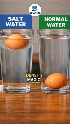 Float Like Magic! Dead Sea Science 🧪💧 #experiment #shorts