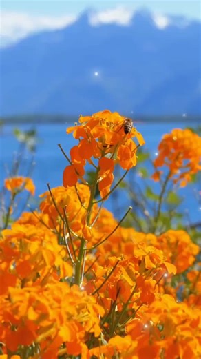 Deborah.Charnes on TikTok