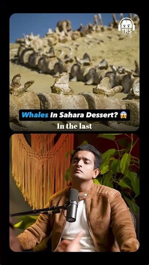 Was the Sahara Once an Ocean? 🌊 ft. Abhijit Chavda #shorts