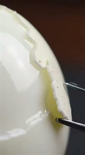 Egg Shell Peeling Close‑Up | Crisp Natural ASMR Sounds #asmr #eggshell #peelingasmr #satisfying