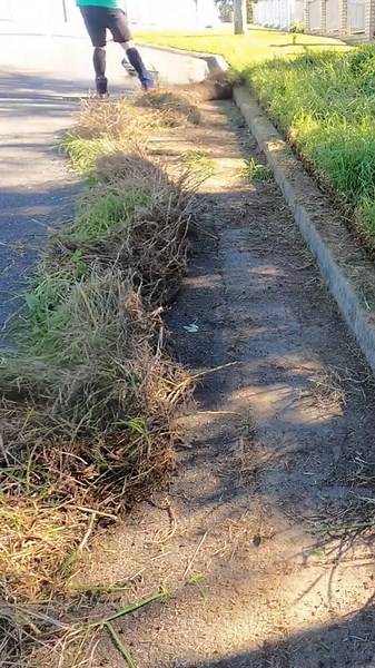 The 30-second edging trick that transforms any lawn instantly