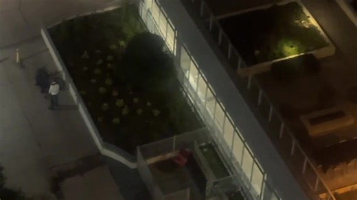 Two Men Fighting at Dog Park ... 12:44:17 AM ... Wacker & Columbus ... Oct 18, 2025 Shortly before 12:45 a.m., police received multiple 911 calls for two men fighting near the dog park at East Wacker Drive and North Columbus Drive, a heavily trafficked Riverwalk-adjacent area that remains active even late at night. Citizen App footage posted at 12:46 a.m. captured the pair yelling at each other near the park fence line while several bystanders stood at a distance. By 12:44 a.m., police dispatche