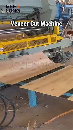 veneer cut machine #plywoodmachine #machine #factory#veneermachine #cutter