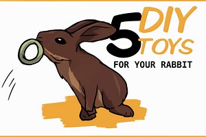 5 Easy DIY Rabbit Toys (step-by-step instructions and pictures)