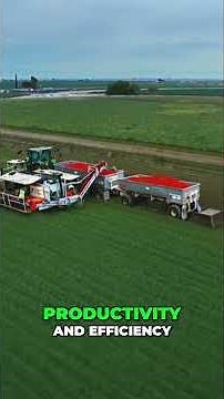 Farm Robots: How They're Revolutionizing Agriculture for Efficiency!