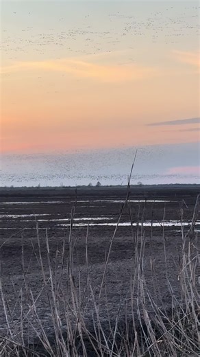 Christopher Conley (@christopherconley0)’s videos with original sound - J Tahana