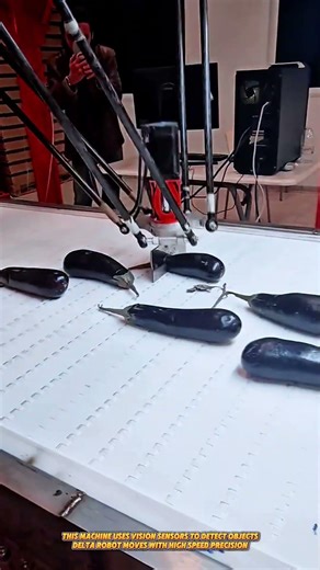 Vision Guided Delta Robot Cutting Machine Automatically Detects and Cuts Objects #machine