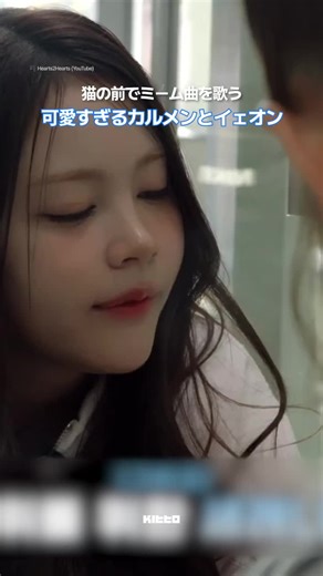 猫とのふれあいで癒されるH2Hの動画