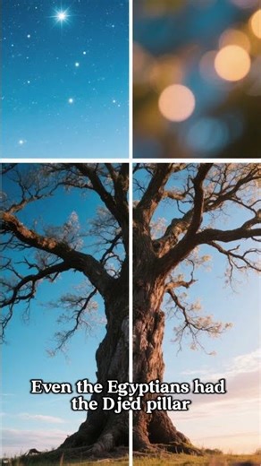 Ancient Cultures Believed ONE Tree Held the Universe Together #shorts