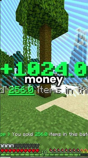 Here's how to get started on BoxSMP!